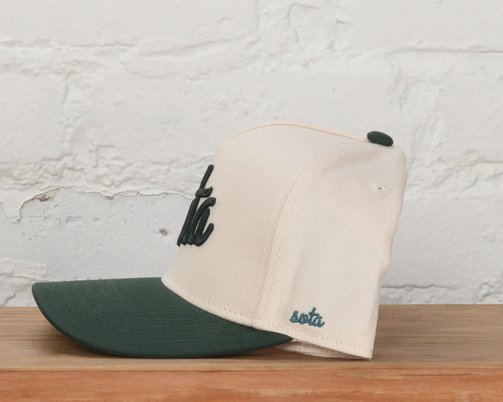 forest sota embroidered snapback