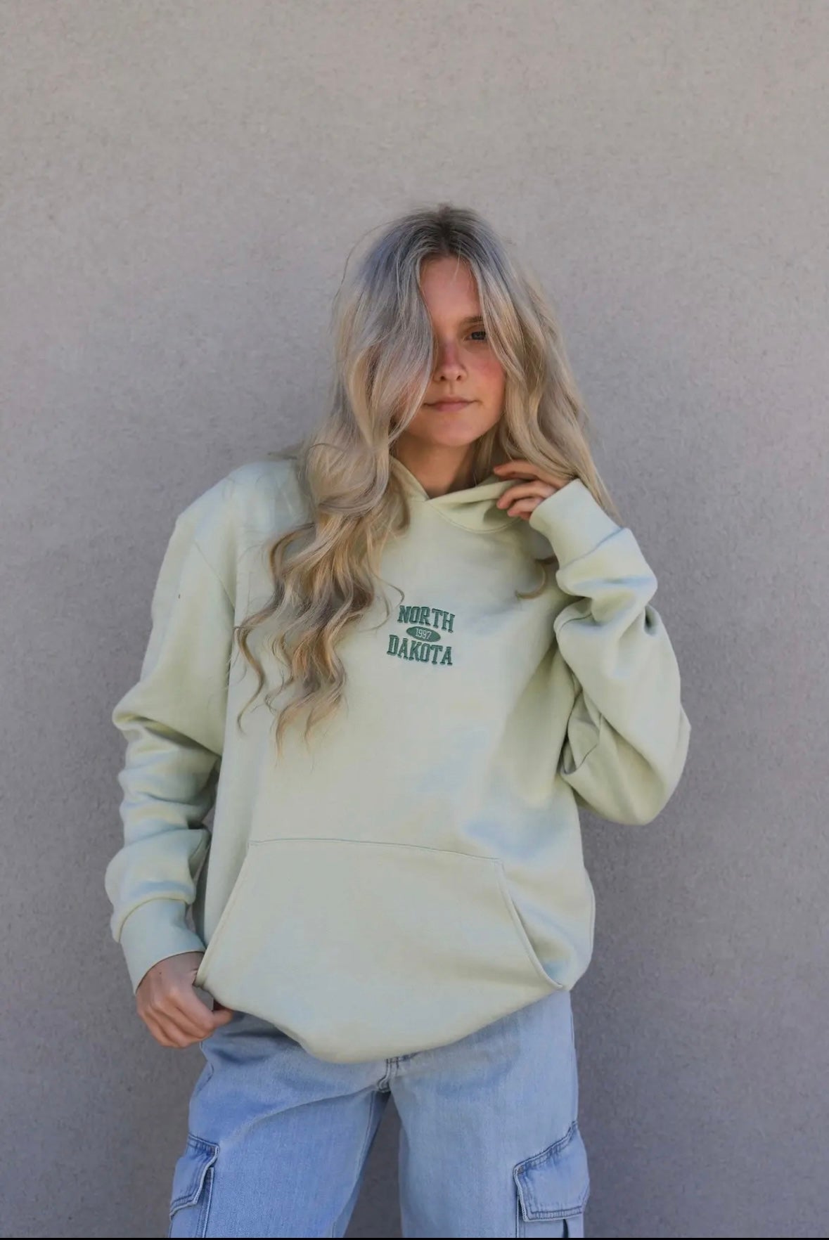 north dakota retro embroidered hoodie