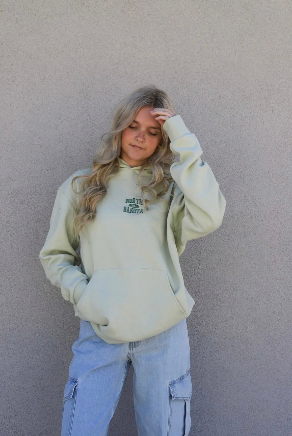 north dakota retro embroidered hoodie