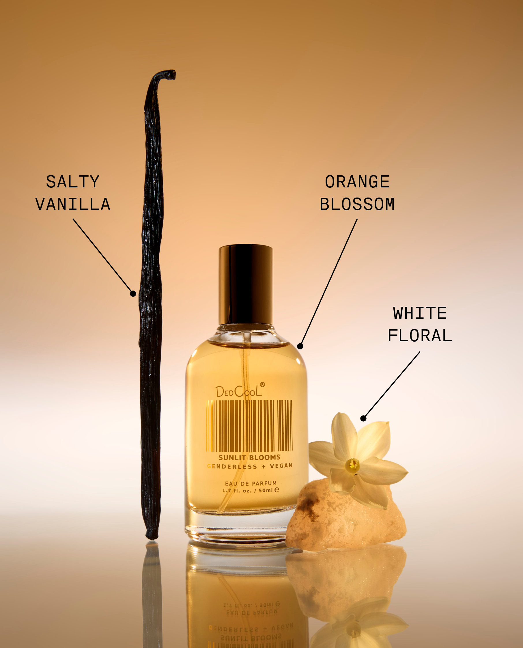 dedcool fragrance - sunlit blooms