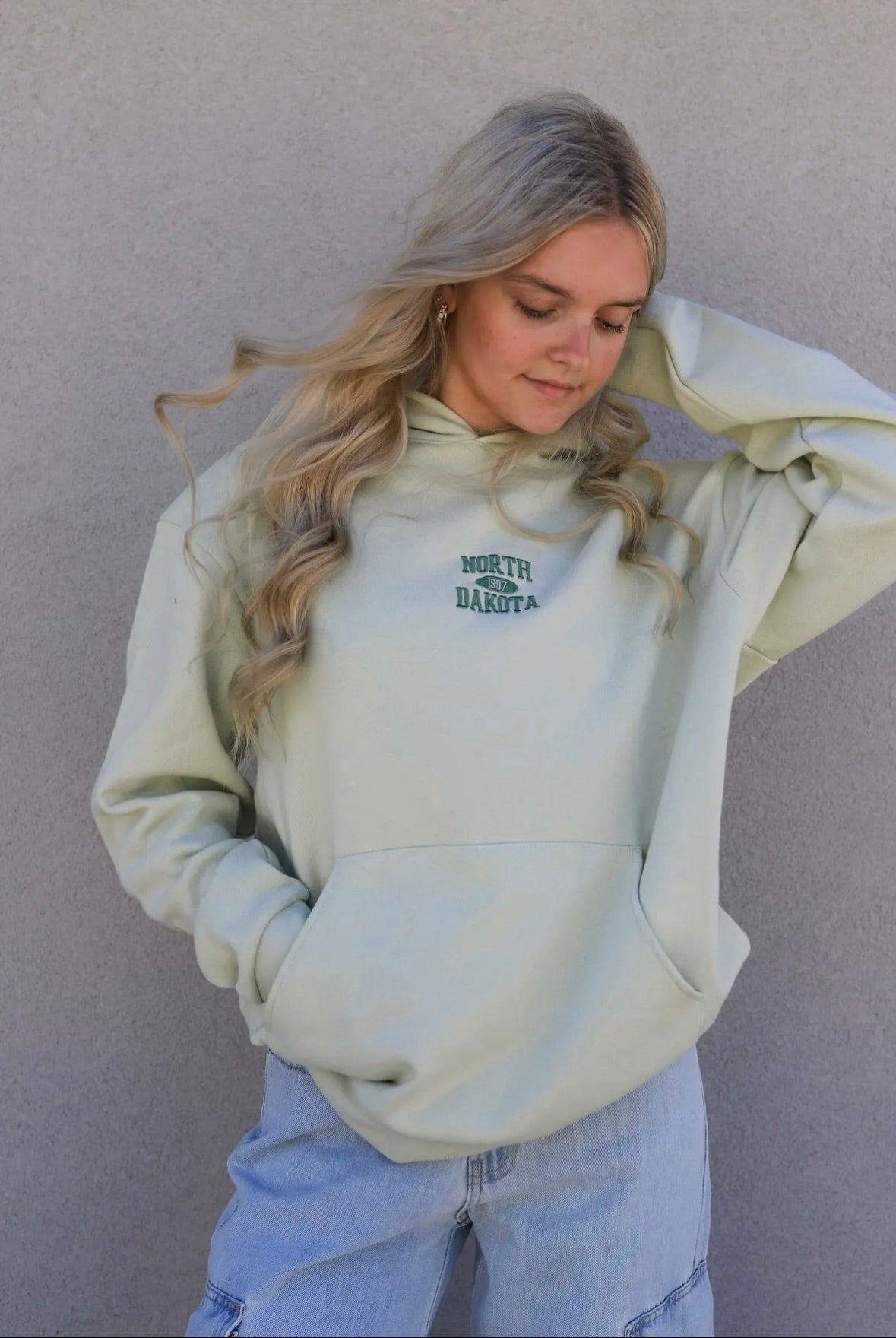 north dakota retro embroidered hoodie