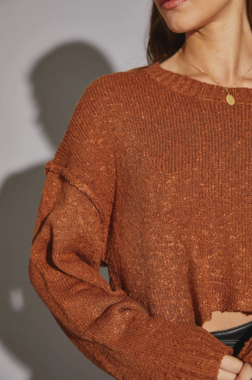 Burnt orange sales cropped sweater