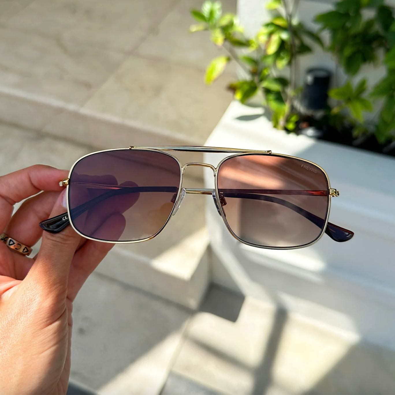 raymond freyrs sunglasses